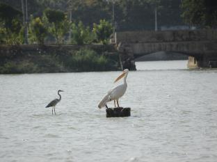 Hotel Shiv Lake Bhuj Buitenkant foto